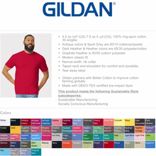 Load image into Gallery viewer, Team Spirit Name Applique Embroidered Shirts